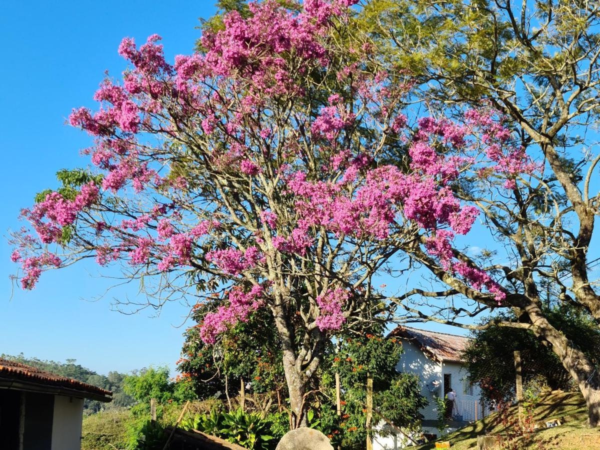Pousada Nossa Senhora Penedo  Exterior foto Flowering tree
