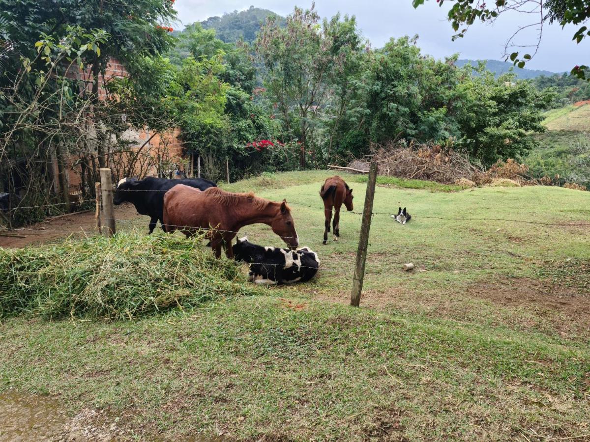 Pousada Nossa Senhora Penedo  Exterior foto Cattle and horses in the countryside of El Salvador