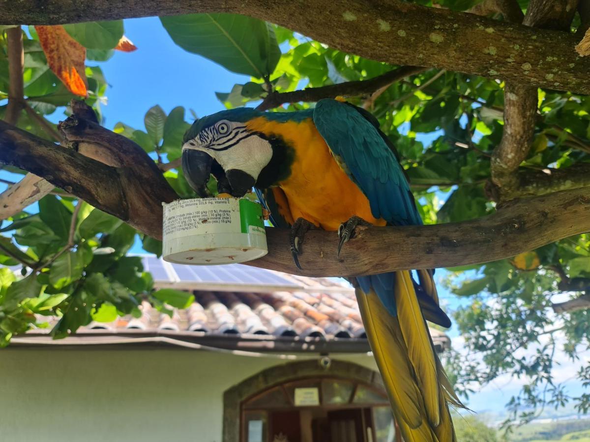 Pousada Nossa Senhora Penedo  Exterior foto Blue and yellow macaw